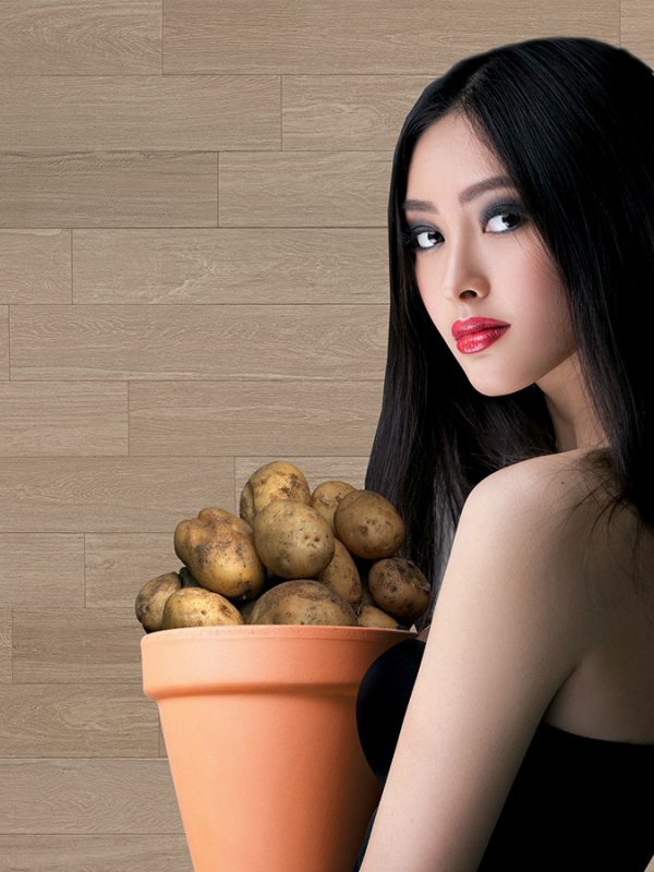 Trova un rivenditore