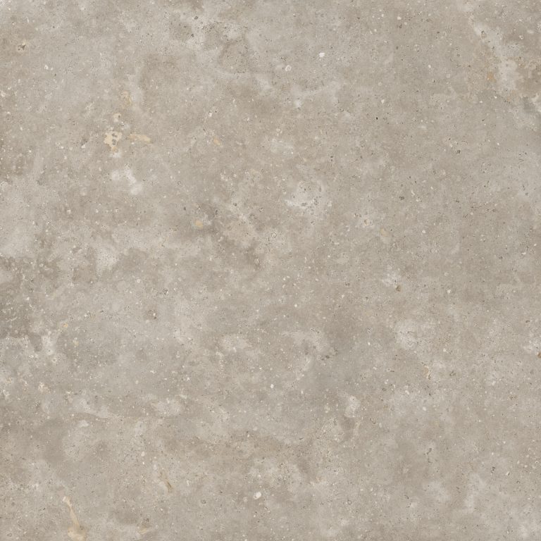 Hispalis Taupe