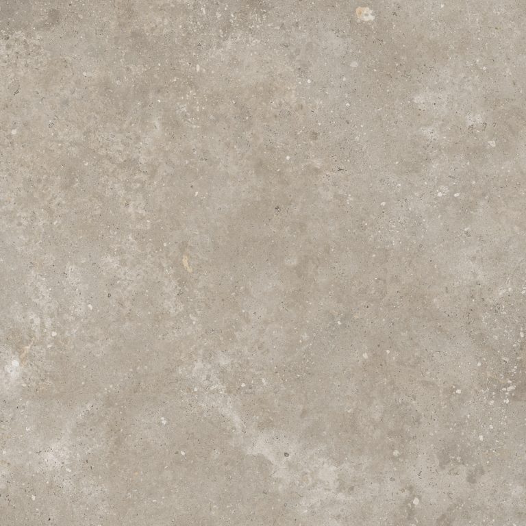 Hispalis Taupe
